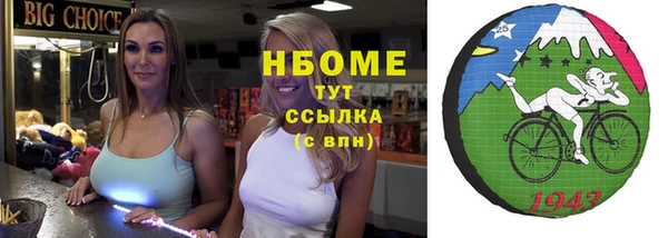 прущий лед Богданович