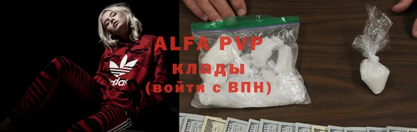прущие грибы Беломорск