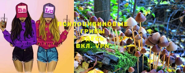 тгк Белокуриха