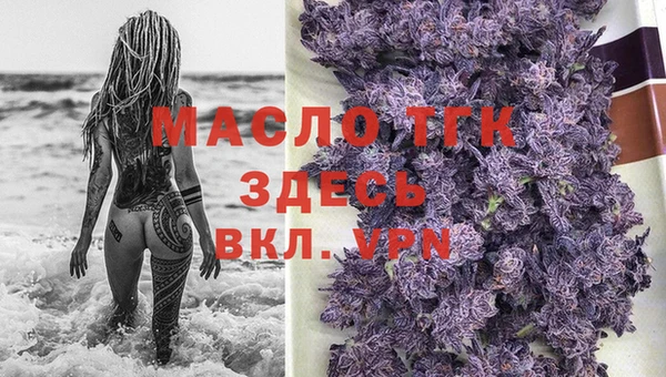 прущие грибы Беломорск