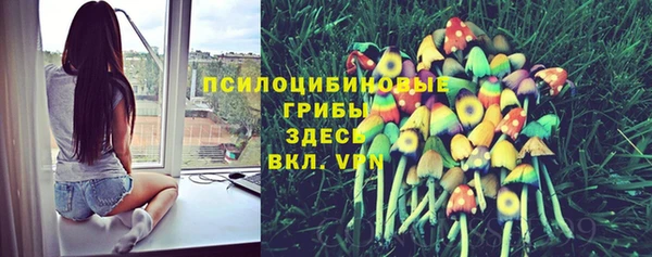 тгк Белокуриха
