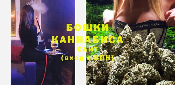 прущие грибы Беломорск