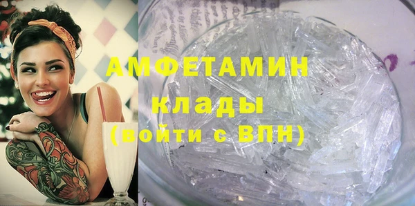 прущие грибы Беломорск