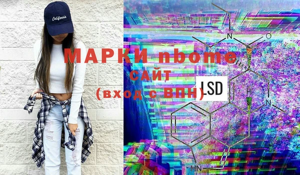 прущие грибы Беломорск