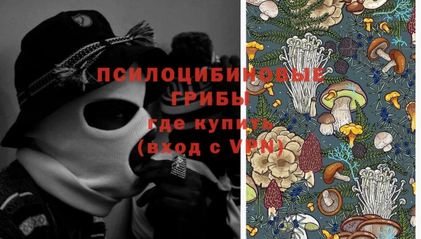 тгк Белокуриха