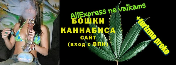тгк Белокуриха