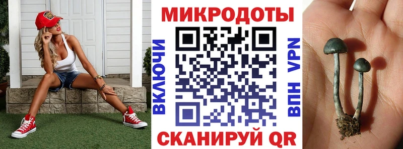 MEGA как войти  мориарти телеграм  Галлюциногенные грибы мицелий  цены   Высоцк 