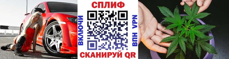 закладка  Высоцк  Шишки марихуана планчик 